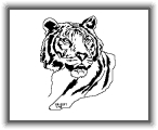 Tiger * 320 x 256 * (4KB)